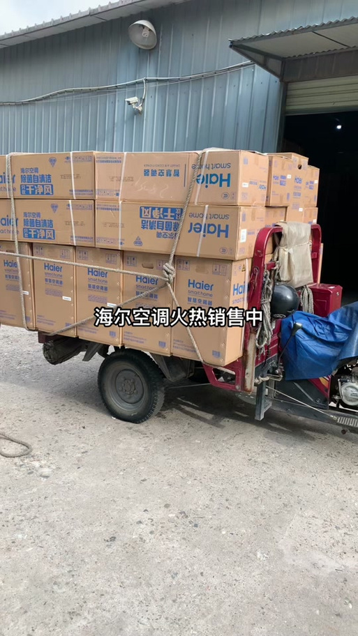 龙麒商贸家电辉姐 家电商贸行业的温暖引路人